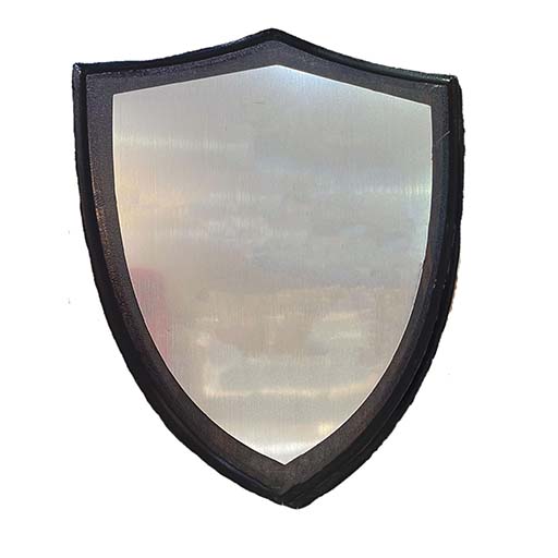 6 V Cut Small Shield With Silver Printing Plate